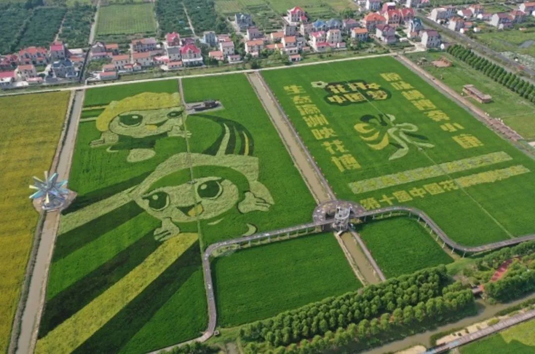 长兴芳草地旅游攻略_枸杞岛旅游最强旅游攻略_上海长兴岛旅游攻略