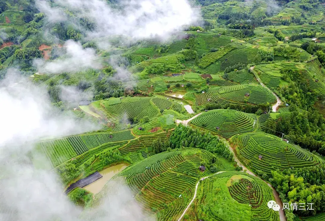 新乡有哪些景点比较好玩,有漂流_融水有什么好玩的景点_广西三江融水景点