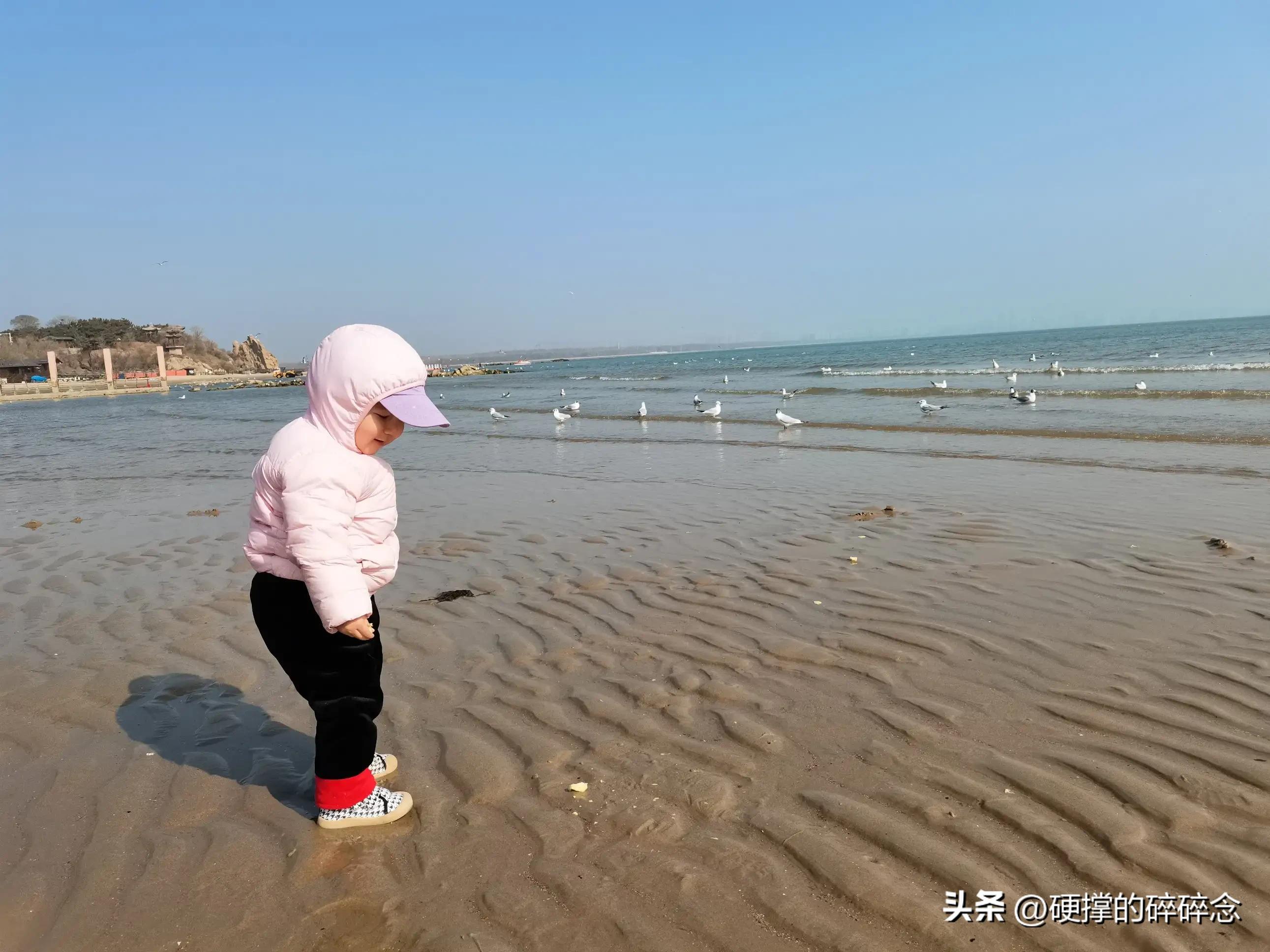 冬天秦皇岛好玩的景点_秦皇岛新澳海底世界冬天有海豚吗_秦皇岛冬天有夜市吗?