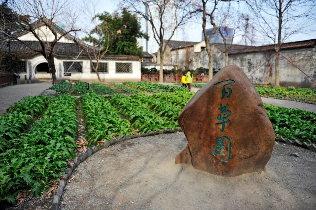 杭州好玩点的地方_杭州哪些地方好玩好吃_杭州有哪些好玩的地方和小吃街