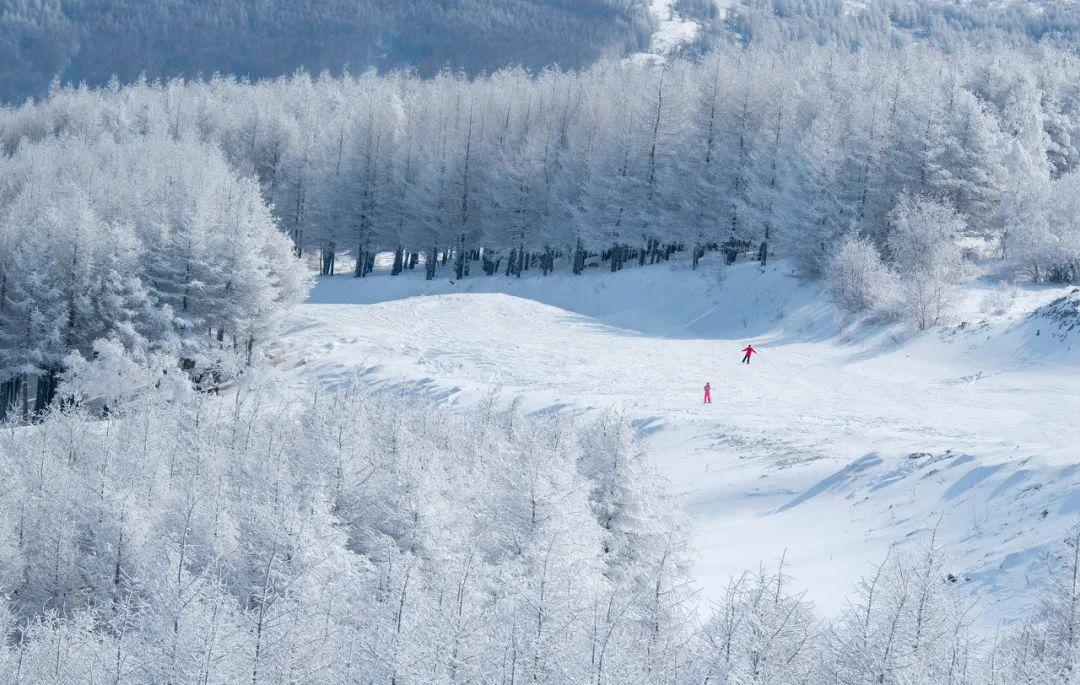 大连到长白山一路上好玩的景点_大连至长白山旅游攻略_大连到长白山路线