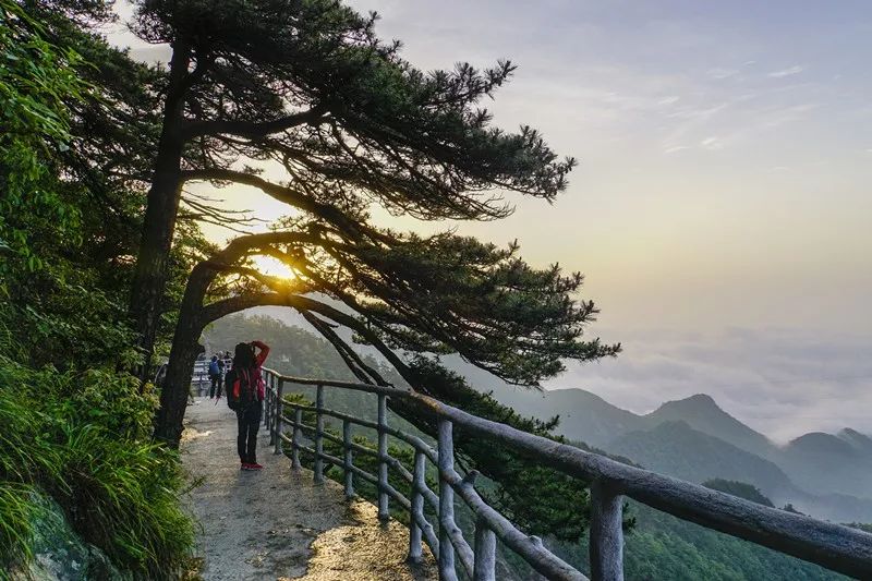 岳西明堂山旅游攻略_岳西明堂山风景区门票多少钱_岳西的明堂山