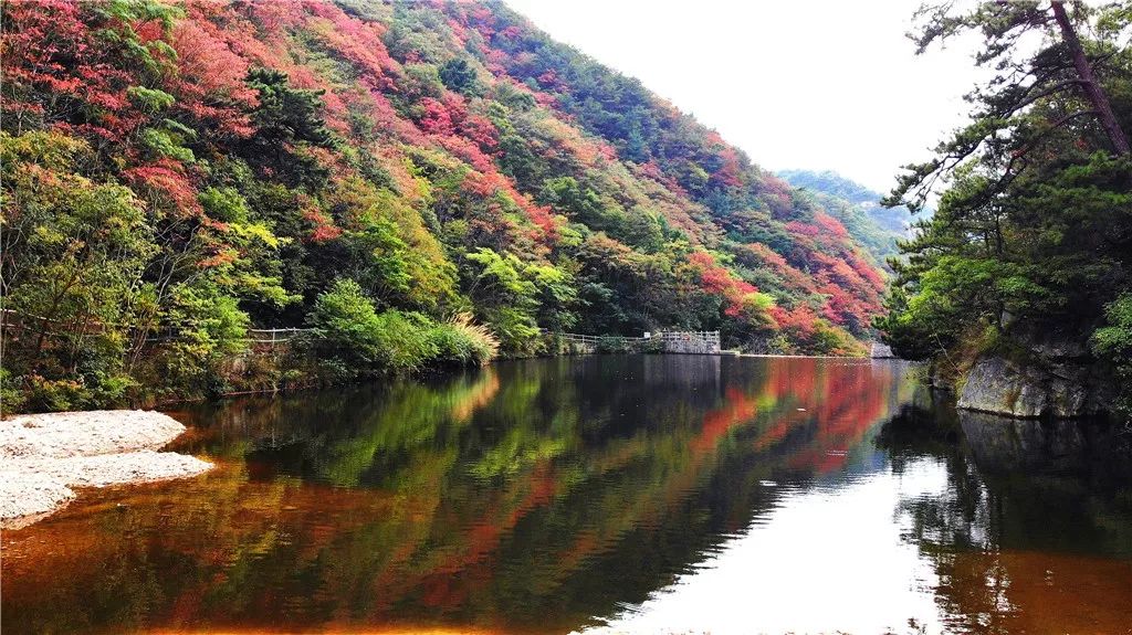 岳西明堂山风景区门票多少钱_岳西的明堂山_岳西明堂山旅游攻略