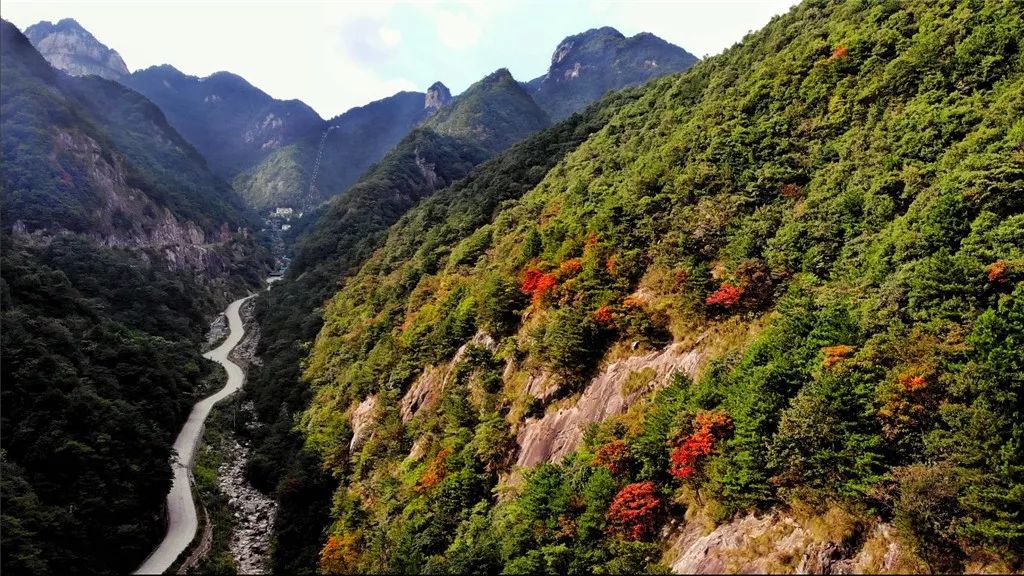 岳西明堂山旅游攻略_岳西的明堂山_岳西明堂山风景区门票多少钱