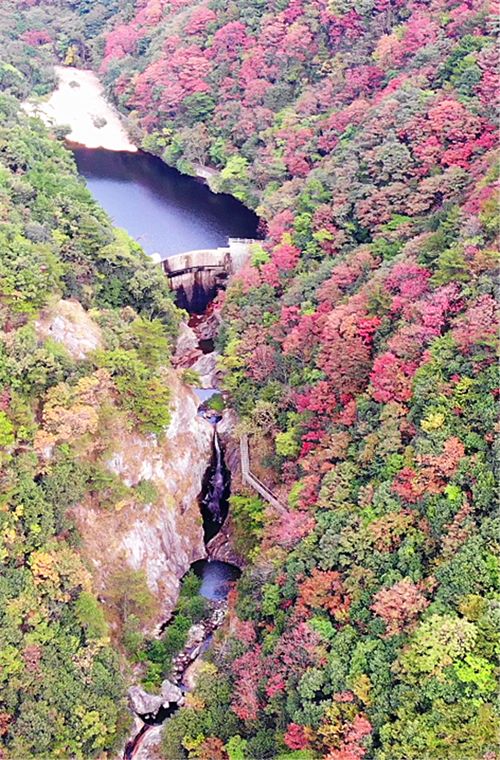 岳西的明堂山_岳西明堂山旅游攻略_岳西明堂山风景区门票多少钱