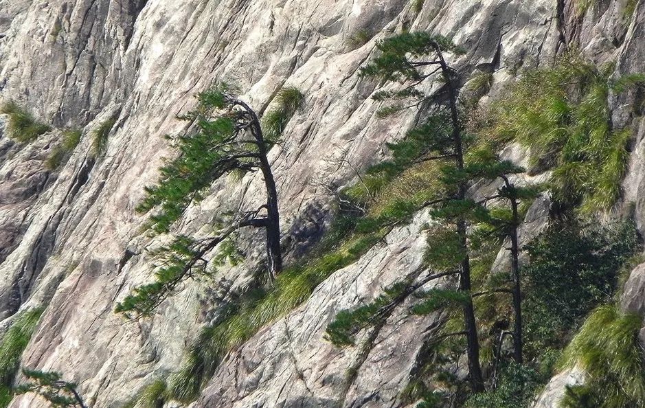 岳西明堂山旅游攻略_岳西的明堂山_岳西明堂山一日游攻略