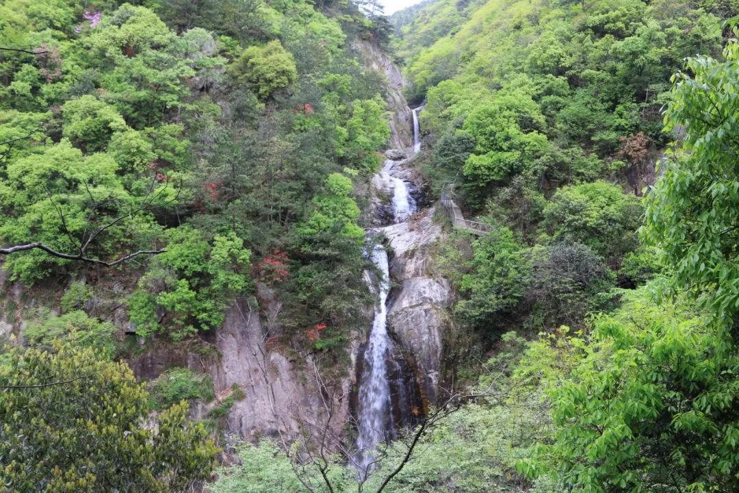 岳西的明堂山_岳西明堂山旅游攻略_岳西明堂山一日游攻略