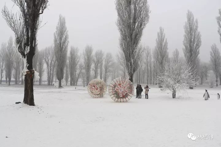 保定冬天好玩的景点_保定冬天旅游景点大全排名榜_保定冬天游玩