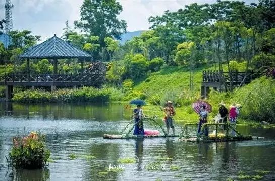 旅游攻略旅游自助游攻略_尖峰岭旅游攻略线路_尖峰岭旅游攻略