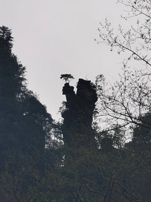 长沙韶山旅游攻略_长沙韶山游玩攻略_长沙攻略韶山旅游路线