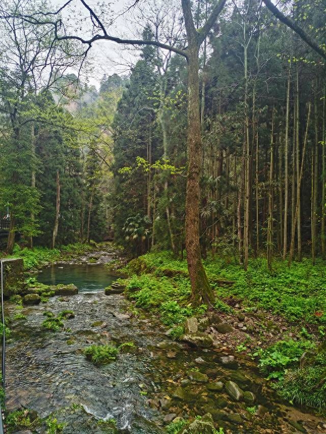 长沙攻略韶山旅游路线_长沙韶山旅游攻略_长沙韶山游玩攻略