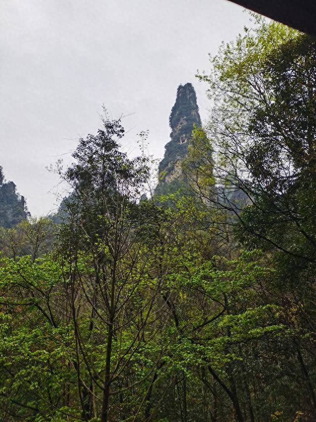 长沙攻略韶山旅游路线_长沙韶山旅游攻略_长沙韶山游玩攻略