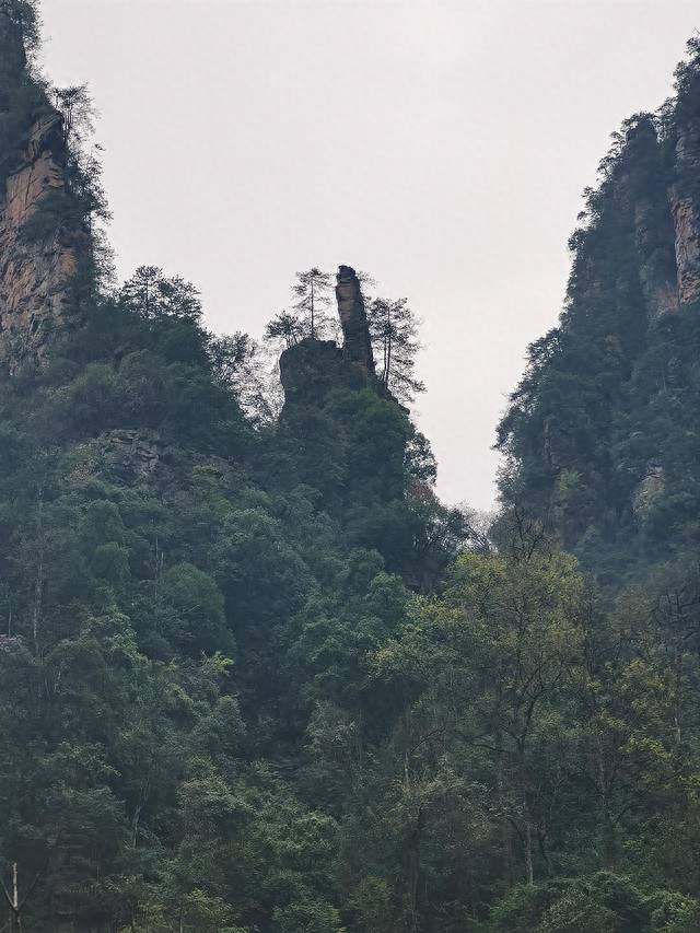 长沙韶山旅游攻略_长沙攻略韶山旅游路线_长沙韶山游玩攻略