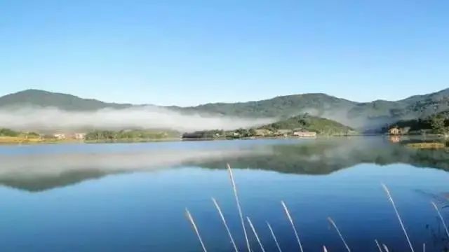 尖峰岭旅游景点门票_尖峰岭旅游攻略_尖峰岭一日游攻略