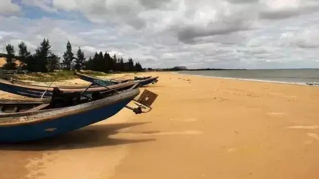 尖峰岭旅游攻略_尖峰岭旅游景点门票_尖峰岭一日游攻略