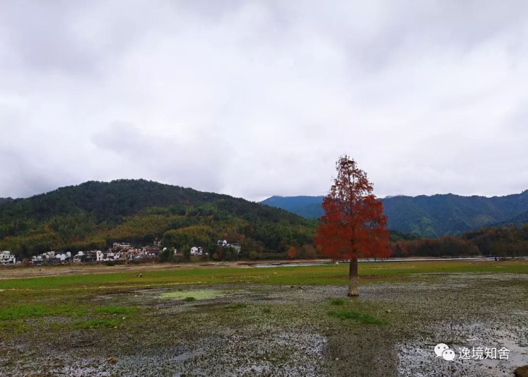 黄山 宏村旅游自助攻略_黄山宏村旅游攻略二日游_黄山宏村2日游最佳路线