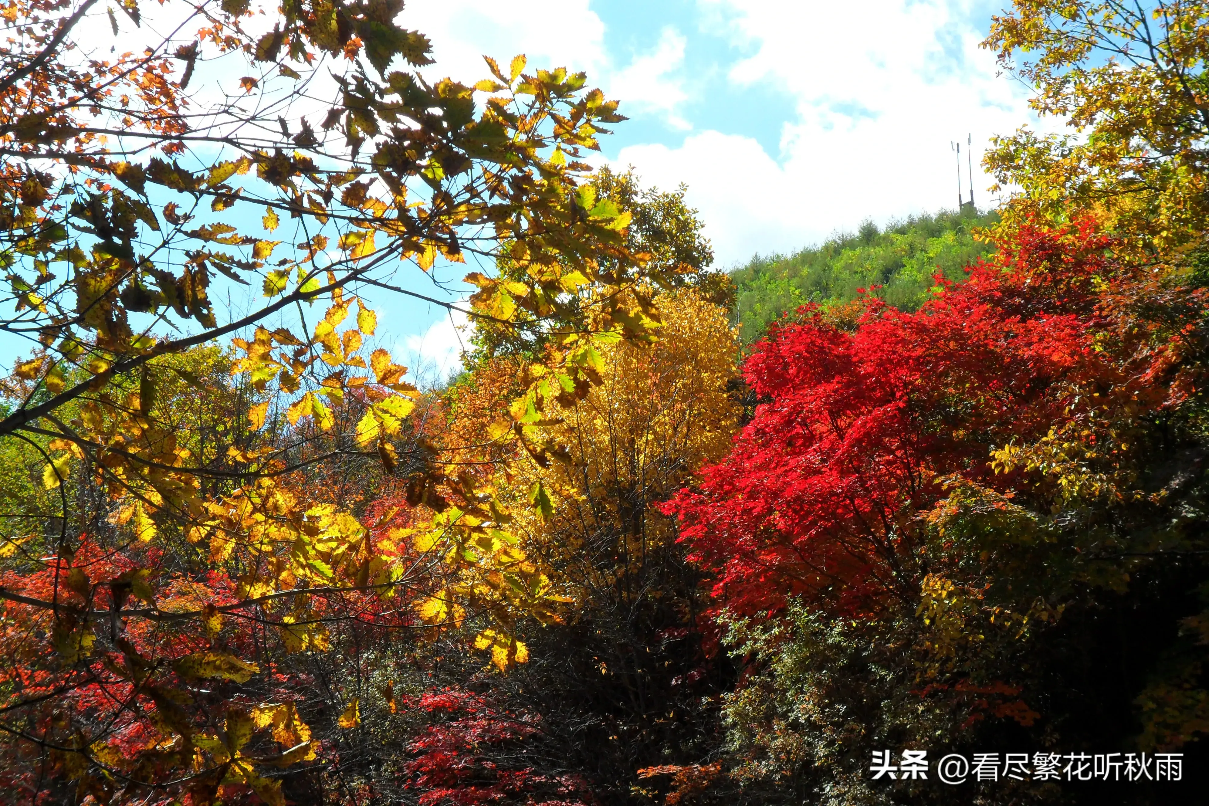 本溪旅游攻略景点推荐_本溪旅游攻略必玩的景点_本溪旅游攻略必去景点