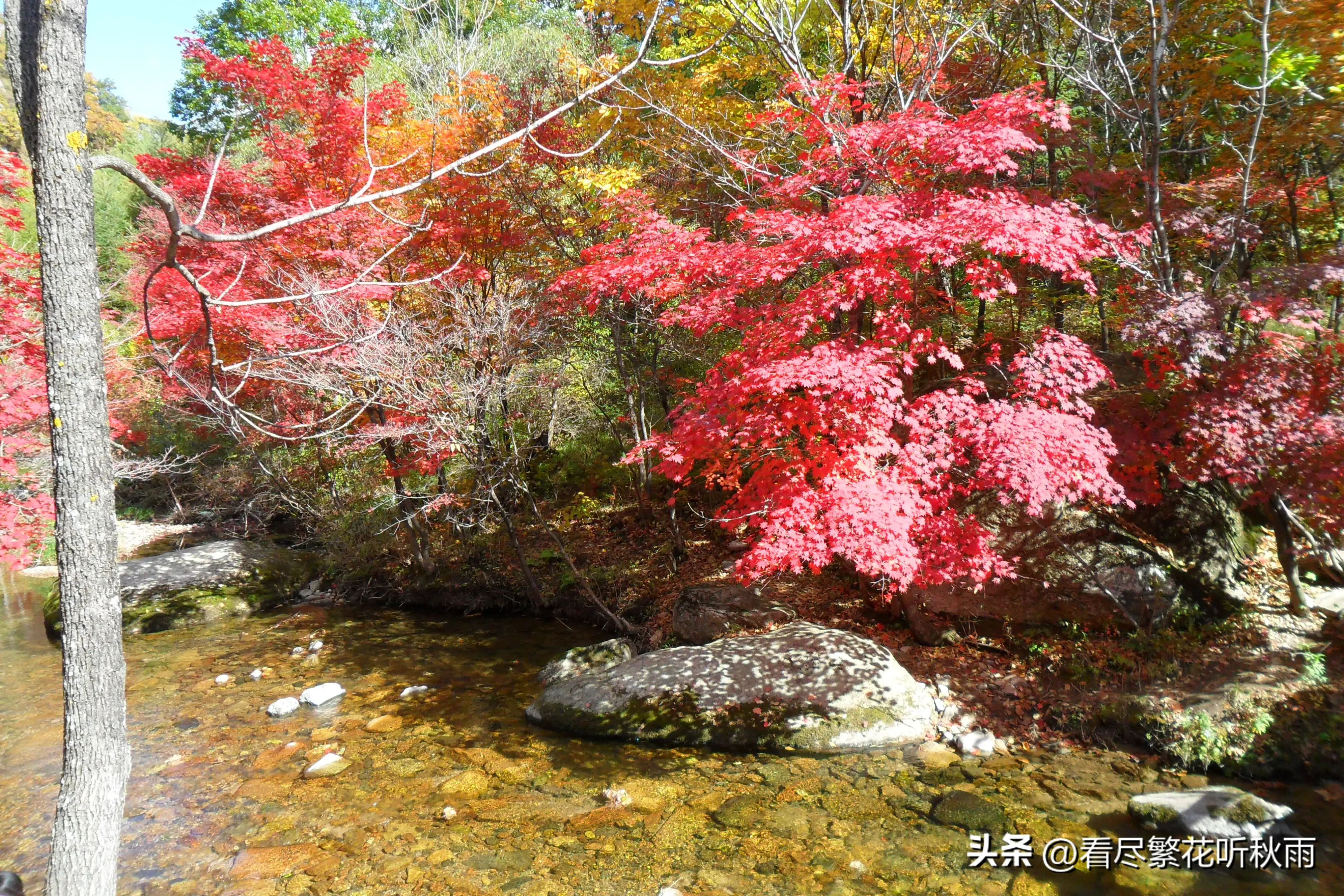 本溪旅游攻略必玩的景点_本溪旅游攻略必去景点_本溪旅游攻略景点推荐