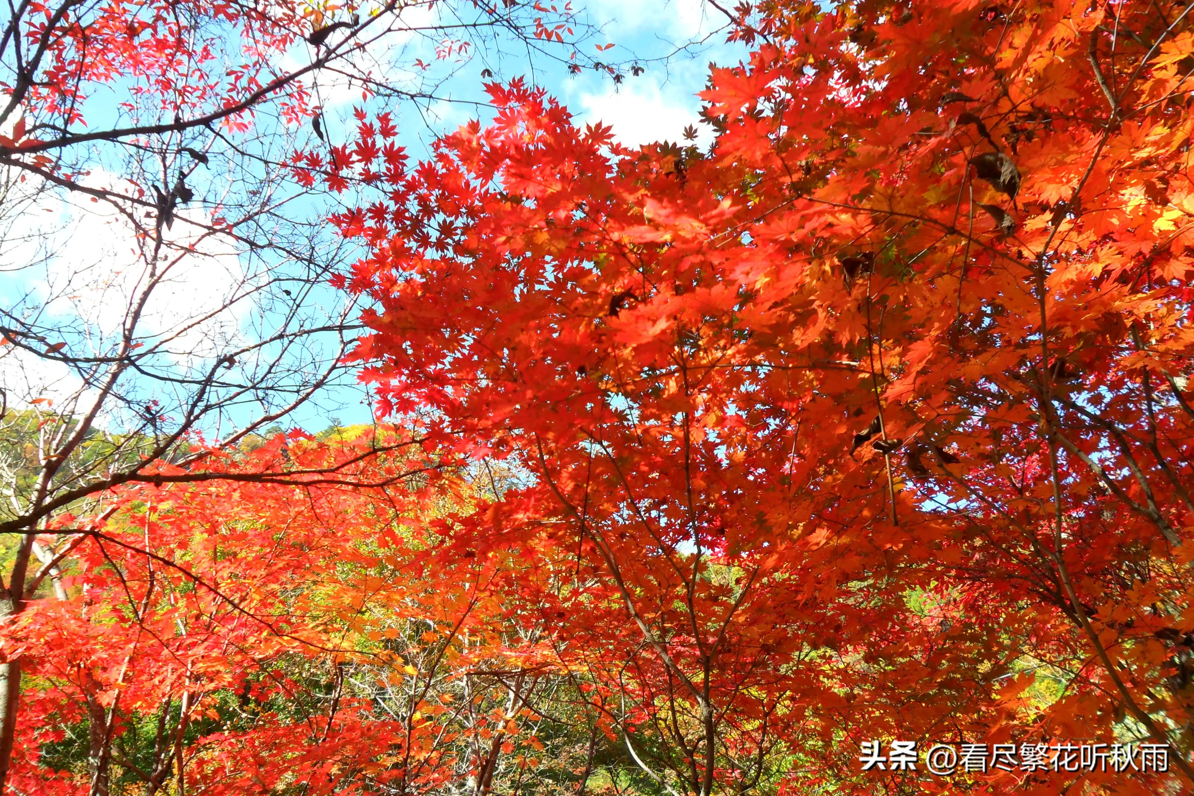 本溪旅游攻略必玩的景点_本溪旅游攻略景点推荐_本溪旅游攻略必去景点