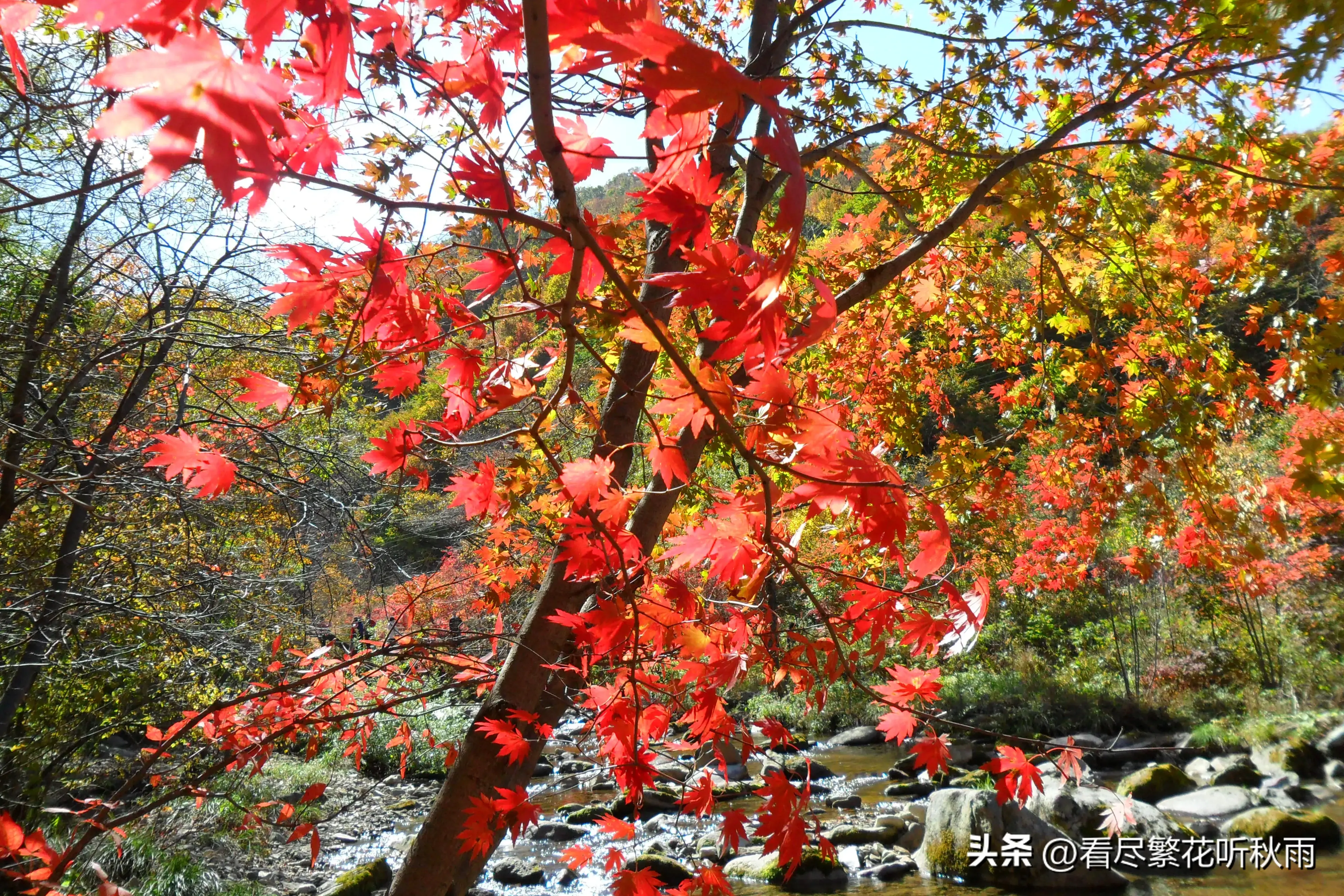 本溪旅游攻略必玩的景点_本溪旅游攻略必去景点_本溪旅游攻略景点推荐