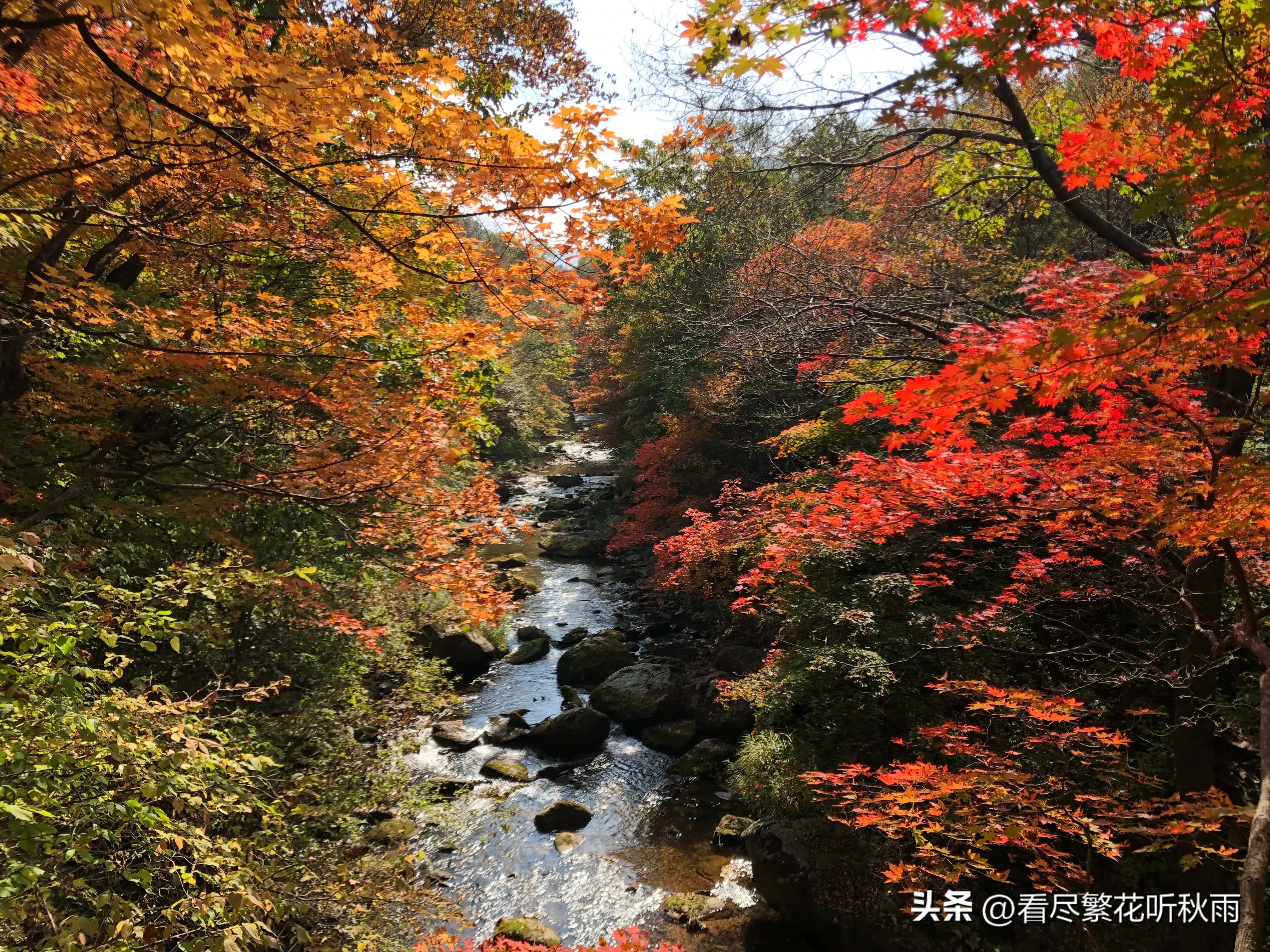 本溪旅游攻略必玩的景点_本溪旅游攻略必去景点_本溪旅游攻略景点推荐