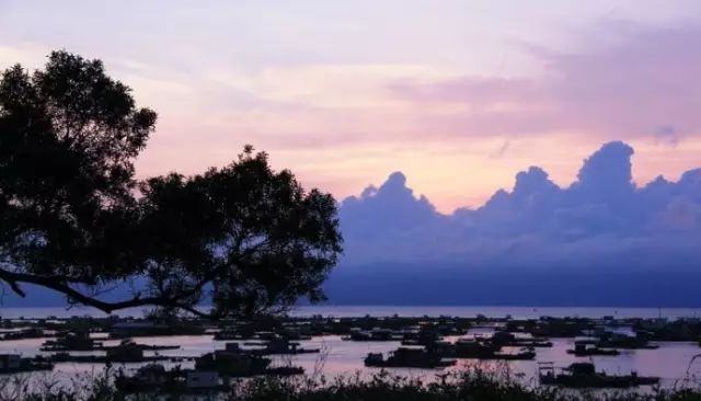 阳江海陵岛游玩攻略_请搜阳江海陵岛_广东阳江海陵岛攻略