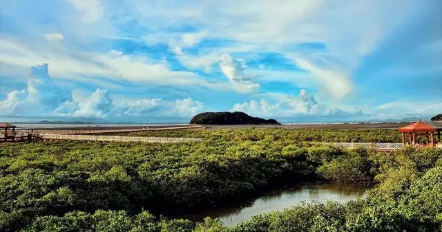 广东阳江海陵岛攻略_阳江海陵岛游玩攻略_请搜阳江海陵岛