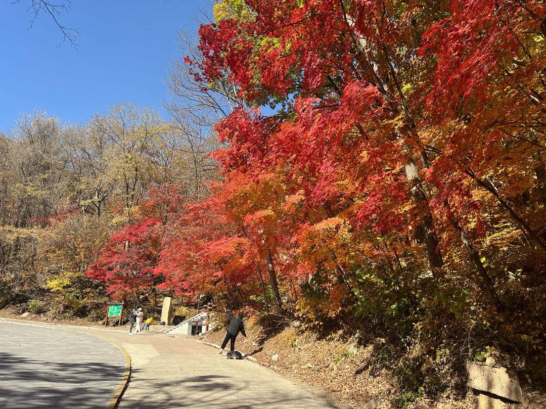 本溪旅游攻略景点推荐_本溪旅游攻略必玩的景点_本溪旅游景点旅游攻略