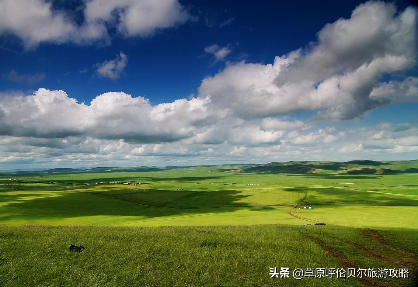 如果您想要来呼伦贝尔旅游的你，来看看吧！