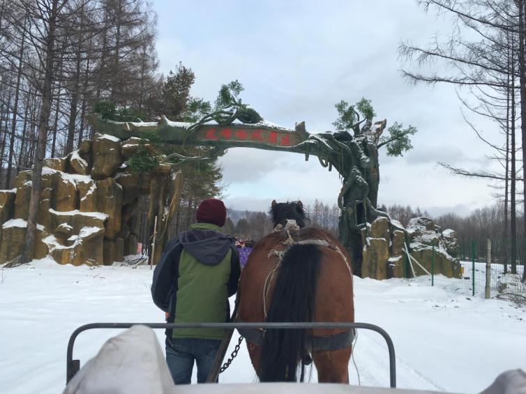 长春攻略旅游雪乡到哪里好玩_长春到雪乡旅游攻略_长春攻略旅游雪乡到大连多远