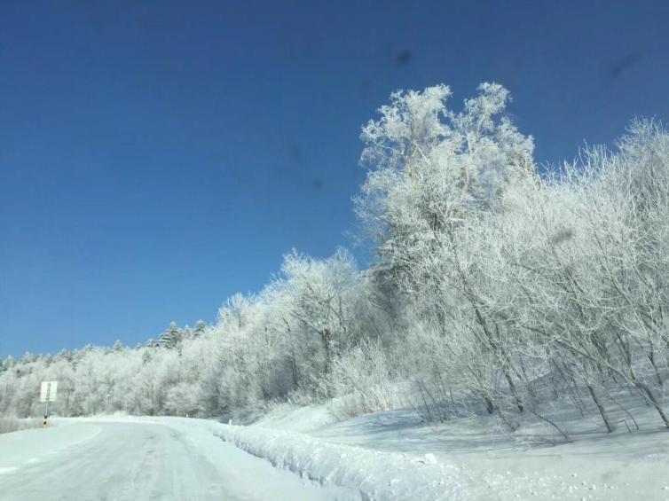 长春到雪乡旅游攻略_长春攻略旅游雪乡到哪里好玩_长春攻略旅游雪乡到大连多远