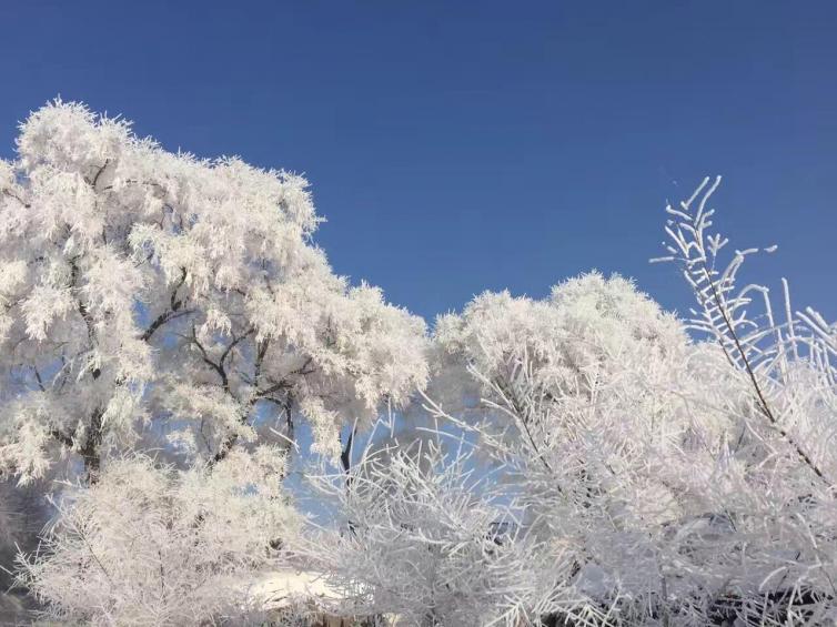 长春到雪乡旅游攻略_长春攻略旅游雪乡到哪里好玩_长春攻略旅游雪乡到大连多远