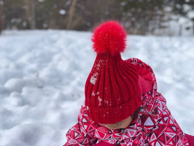 长春到雪乡旅游攻略_长春攻略旅游雪乡到大连多远_长春攻略旅游雪乡到哪里好玩