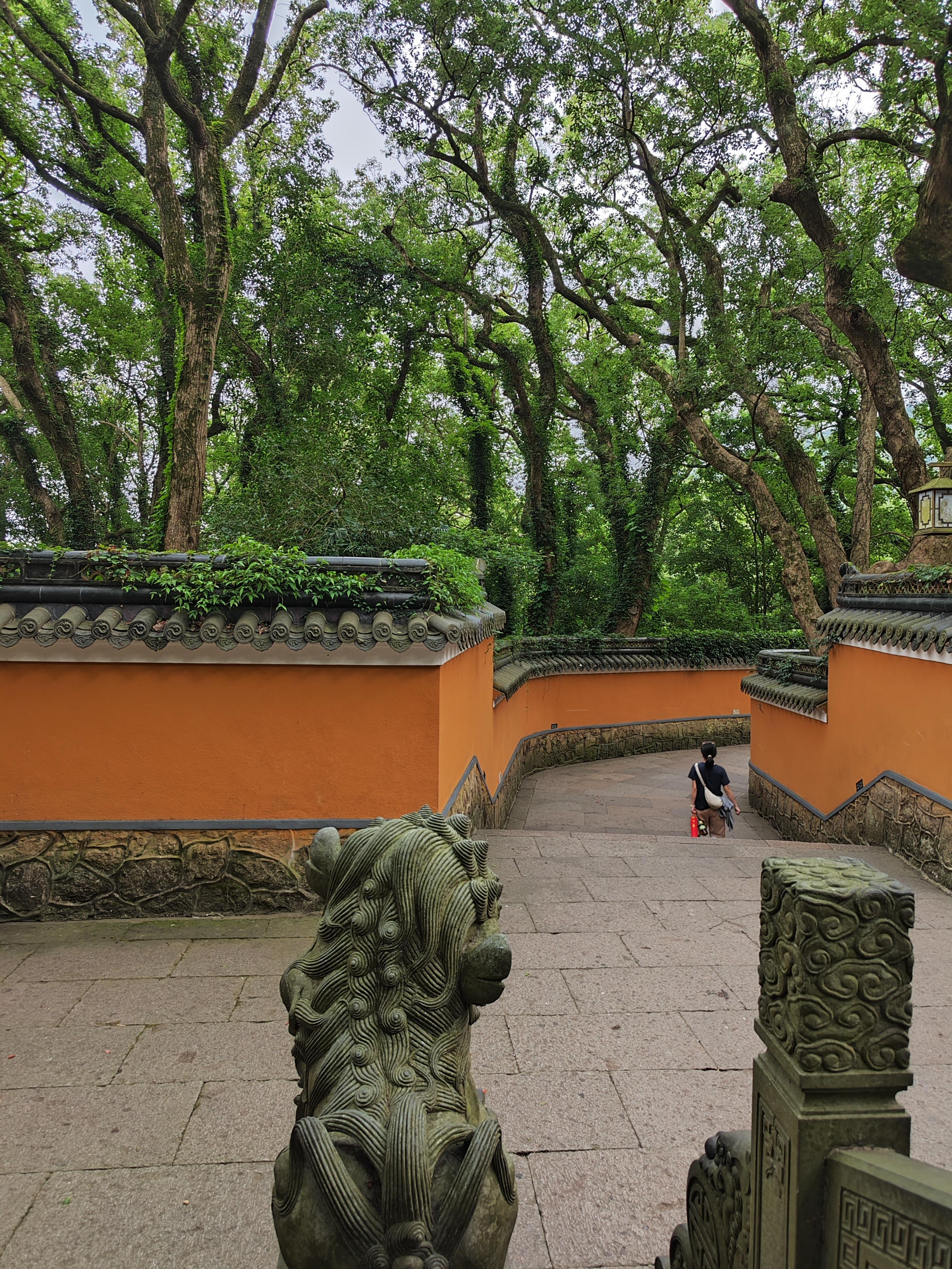 普陀山老年人_宁波普陀山老人孩子旅游攻略_宁波普陀山门票老年人优惠吗