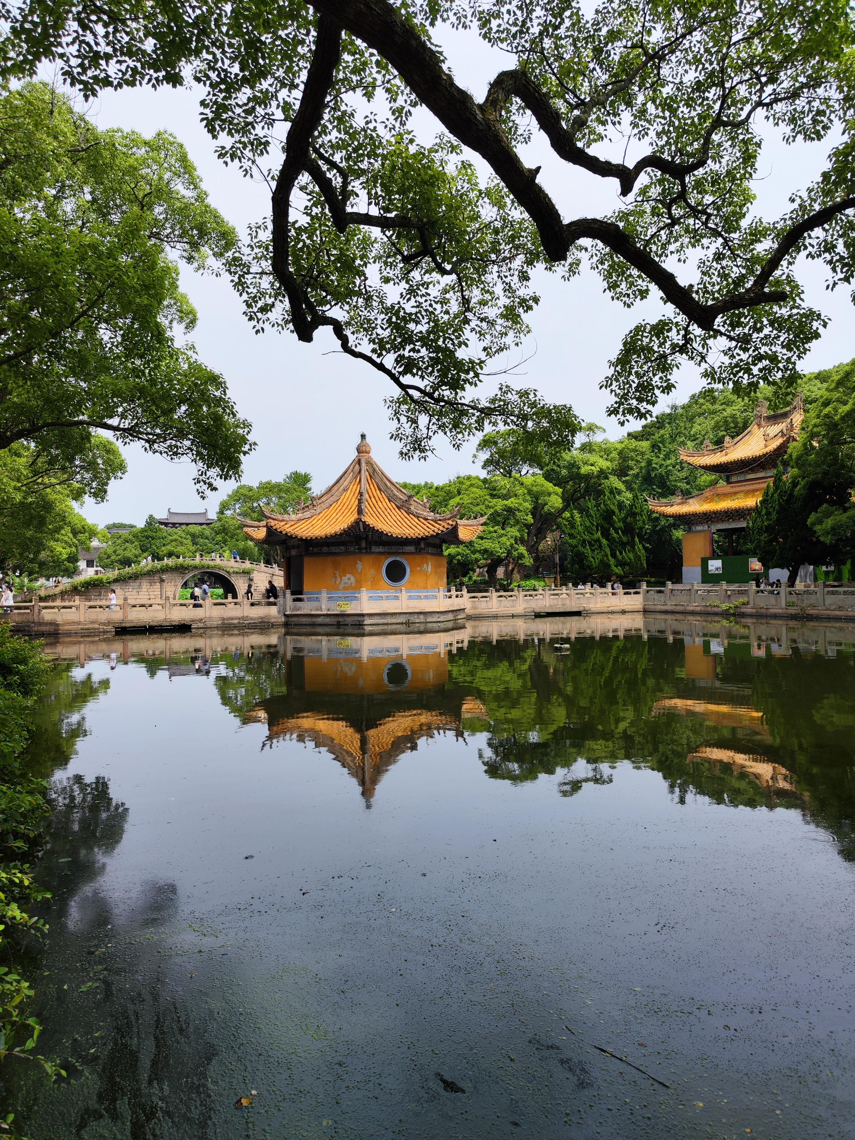 宁波普陀山门票老年人优惠吗_普陀山老年人_宁波普陀山老人孩子旅游攻略