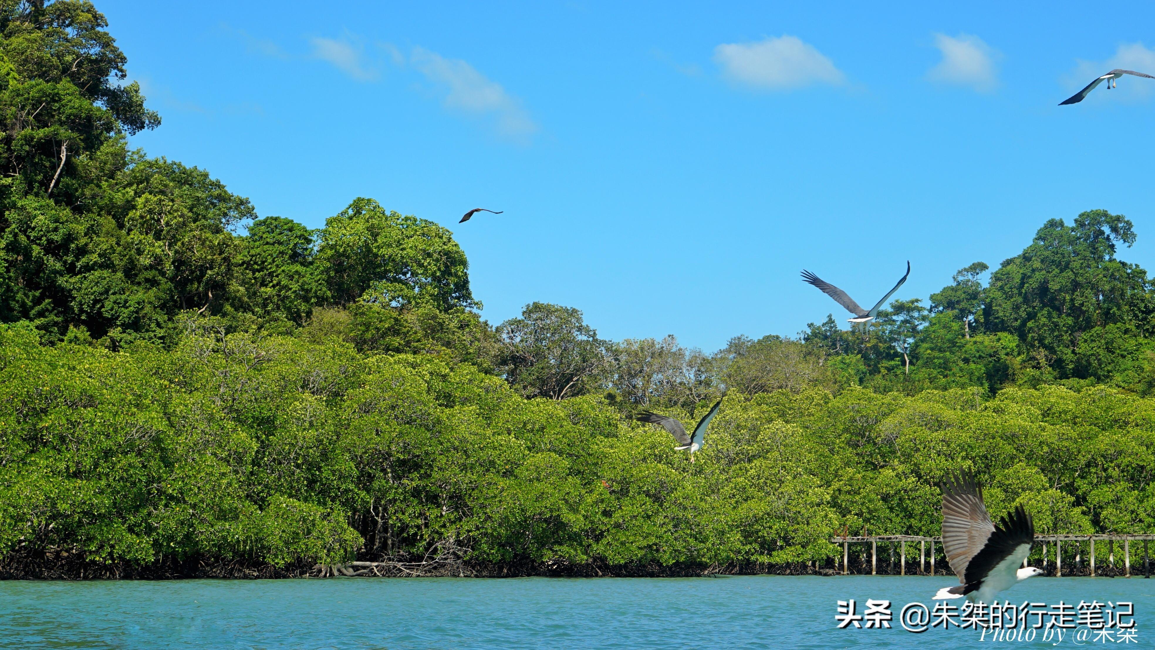 春节去国外旅游_春节期间国外旅游_春节国外旅游去哪里好