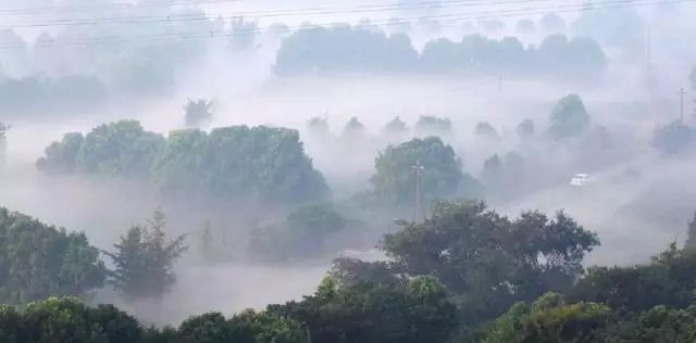 淄博哪里好玩免费景点_佛山哪里好玩免费景点_无锡好玩的免费景点