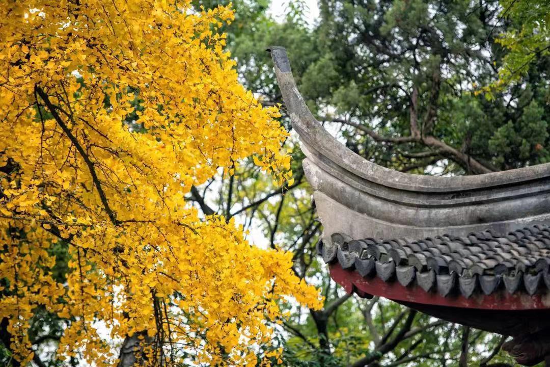 浙江富春江旅游攻略_浙江九龙山旅游攻略_莆田九龙谷旅游攻略