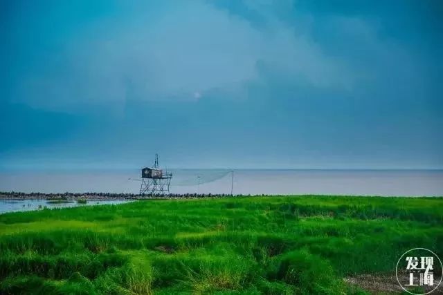 上海迪斯尼乐园哪些景点好玩_上海有什么好玩的景点_上海有什么景点好玩