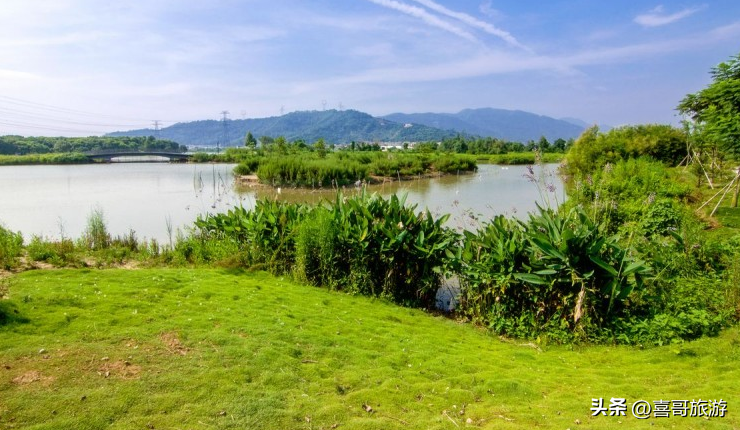 厦门漳州旅游景点_厦门漳州旅游攻略_厦门漳州有什么好玩的地方