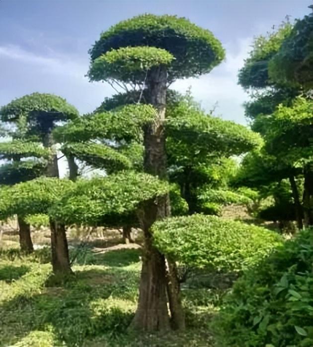 好玩潍坊景点有哪些_潍坊好玩的景点_好玩潍坊景点推荐