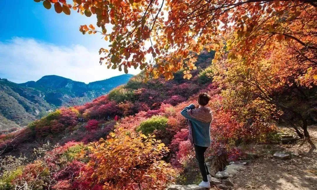 好玩潍坊景点有哪些_潍坊好玩的景点_好玩潍坊景点推荐