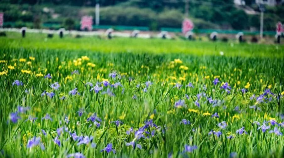 长沙韶山旅游攻略景点必去_长沙韶山游玩攻略_长沙韶山旅游攻略