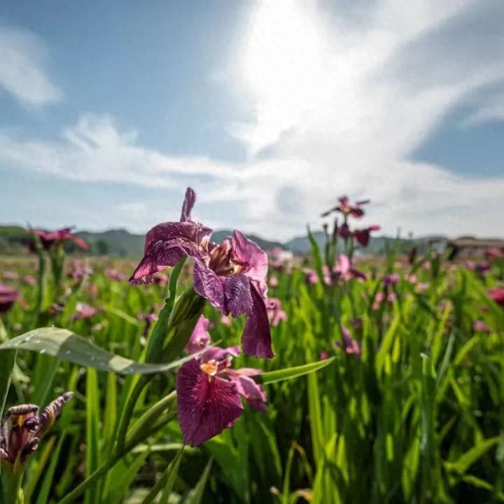 长沙韶山游玩攻略_长沙韶山旅游攻略景点必去_长沙韶山旅游攻略