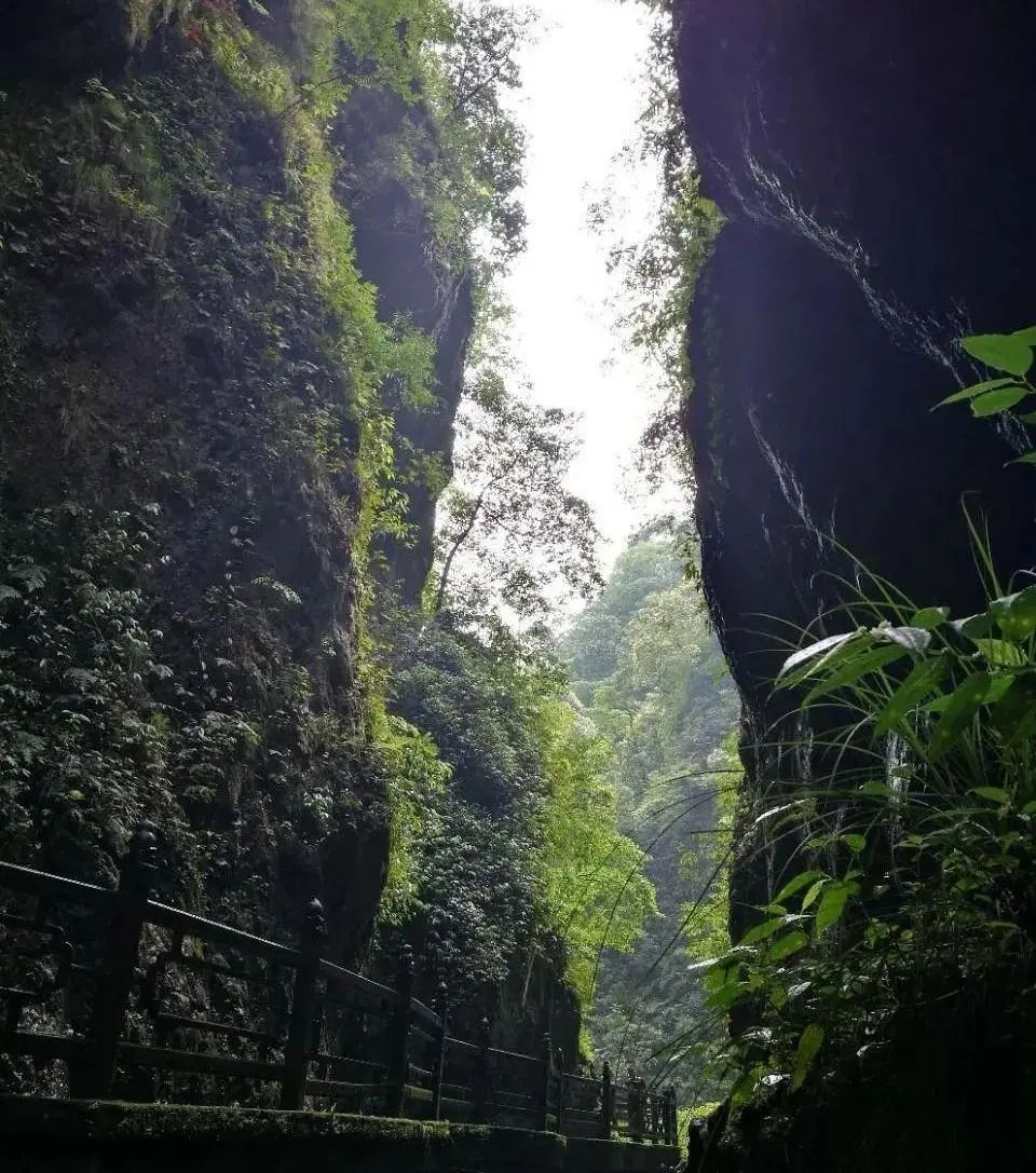 冬季四川峨眉山旅游攻略_峨眉山冬季徒步_峨眉山冬季自驾游