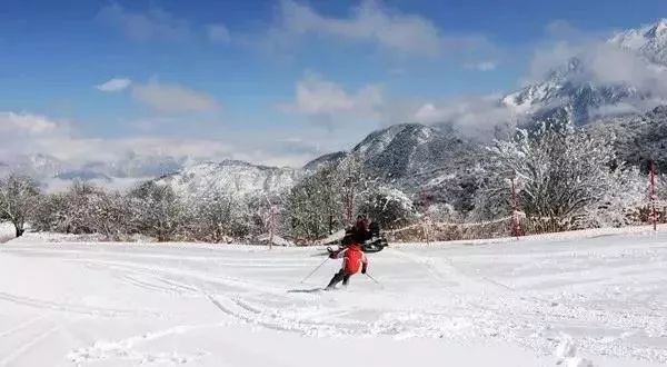 冬季四川峨眉山旅游攻略_冬季四川峨眉山旅游攻略_冬季四川峨眉山旅游攻略