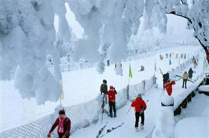 冬季四川峨眉山旅游攻略_冬季四川峨眉山旅游攻略_冬季四川峨眉山旅游攻略