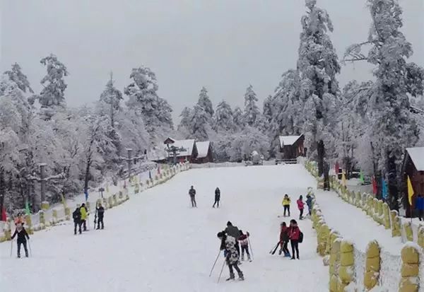 冬季四川峨眉山旅游攻略_冬季四川峨眉山旅游攻略_冬季四川峨眉山旅游攻略