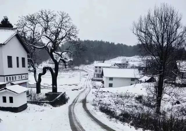 冬季四川峨眉山旅游攻略_冬季四川峨眉山旅游攻略_冬季四川峨眉山旅游攻略