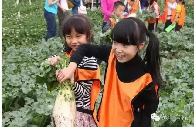 成都的农场_成都农场有哪些景点_成都农场游玩攻略